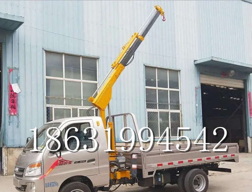 阿勒泰地区车载吊机车载吊机装卸货物车载吊机220v移动吊机阿勒泰地区附近家用车阿勒泰地区附近